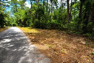 Tbd Lot 4 County Road 4557, Winnsboro, TX 75494 - Photo 1