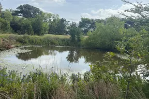 257 Private Rd 7219, Wills Point, TX 75169 - Photo 5