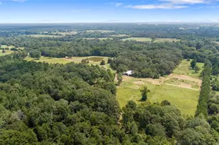 253 Co Rd 2412, Winnsboro, TX 75471 - Photo 39