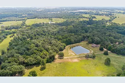 253 County Road 2412, Pickton, TX 75471 - Photo 3
