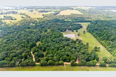 253 County Road 2412, Pickton, TX 75471 - Photo 5