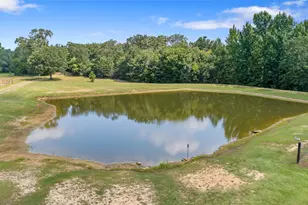 253 Co Rd 2412, Pickton, TX 75471 - Photo 35