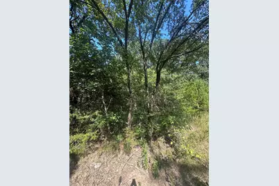 Lots 106-109 Private Rd 3837, Quinlan, TX 75474 - Photo 3