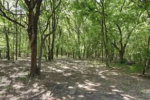 4111 FM2862, Anna, TX 75409 - Photo 31