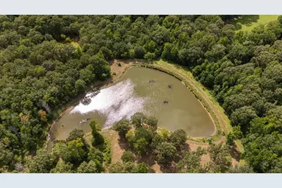 1522 Fm 17, Grand Saline, TX 75140 - Photo 3