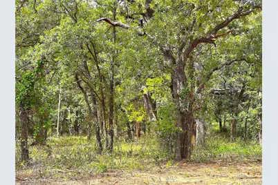 Tbd Turpin Lake Road, Poolville, TX 76487 - Photo 5