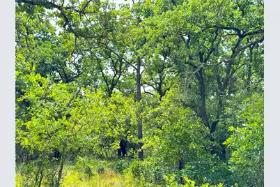Tbd Turpin Lake Road, Poolville, TX 76487 - Photo 7