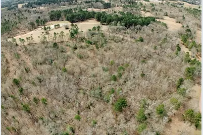 1425 State Highway 300, Gilmer, TX 75645 - Photo 5