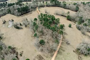 1425 State Hwy 300, Gilmer, TX 75645 - Photo 1