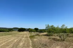 800 S Clear Cove Ct, Graford, TX 76449 - Photo 1