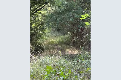 11601 County Road 103, Grandview, TX 76050 - Photo 3