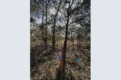 0000 County Road 2324, Como, TX 75431 - Photo 7