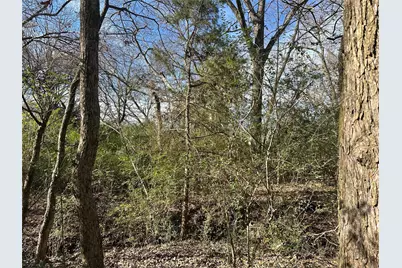 0000 County Road 2324, Como, TX 75431 - Photo 3