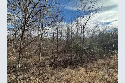 0000 County Road 2324, Como, TX 75431 - Photo 19