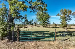 00 Fm 1651, Canton, TX 75103 - Photo 1