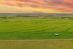 1010 Co Rd 382, Era, TX 76238 - Photo 5