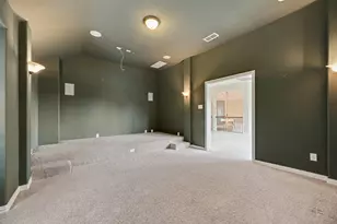 4396 Live Springs Rd, Frisco, TX 75036 - Photo 29