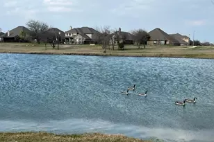 4213 Wilderness Pass, Fort Worth, TX 76262 - Photo 37
