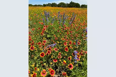 0000 Pr 1256, Glen Rose, TX 76043 - Photo 7