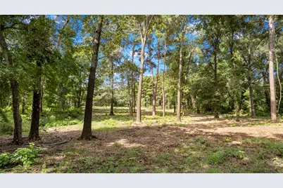 3168 Shadow Pine Drive, LaRue, TX 75770 - Photo 13