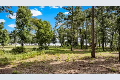 3168 Shadow Pine Drive, LaRue, TX 75770 - Photo 11