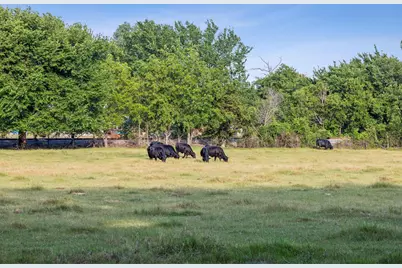 405 W Clifton Street, Pilot Point, TX 76258 - Photo 27