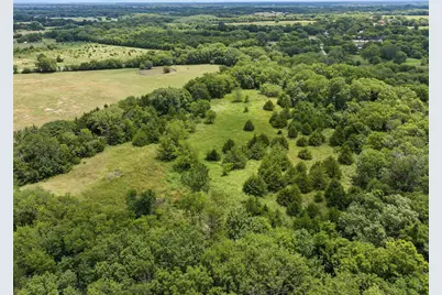 4+ Acres County Road 4435, Trenton, TX 75490 - Photo 5
