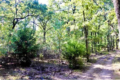 804 Trosper Trace, Quinlan, TX 75474 - Photo 3
