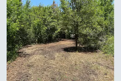 910 Kentucky Town Road, Whitewright, TX 75491 - Photo 11