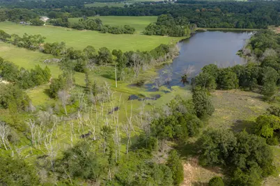 13053 County Road 3806 #3805, Murchison, TX 75778 - Photo 1