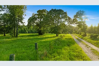 Tract A County Road 43200, Powderly, TX 75473 - Photo 19