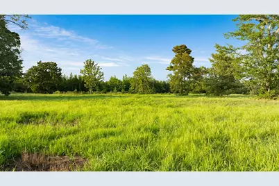 Tract A County Road 43200, Powderly, TX 75473 - Photo 15