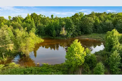 Tract A County Road 43200, Powderly, TX 75473 - Photo 11