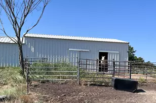 706 Co Rd 4599, Boyd, TX 76023 - Photo 25