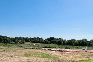 706 Co Rd 4599, Boyd, TX 76023 - Photo 37