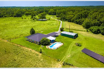 804 An County Road 164, Elkhart, TX 75839 - Photo 3