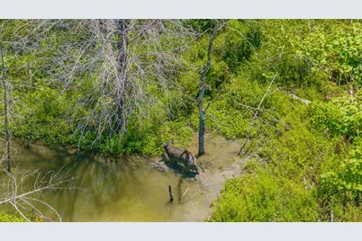 Tbd Cr 3320 End, Pecan Gap, TX 75469 - Photo 19