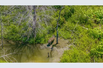 Tbd Cr 3320 End, Pecan Gap, TX 75469 - Photo 15