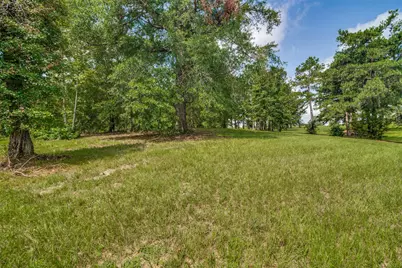 Tbd Pr 52320, Pittsburg, TX 75686 - Photo 9