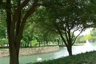 1152 Sophia St, Allen, TX 75013 - Photo 25