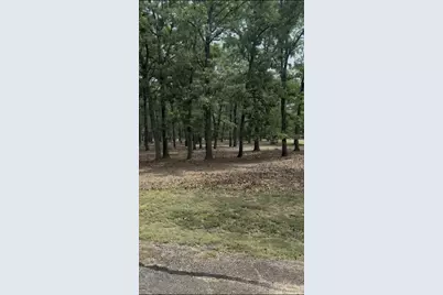 132 Colonial Drive, Mabank, TX 75156 - Photo 11