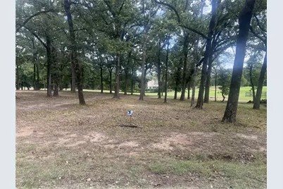 132 Colonial Drive, Mabank, TX 75156 - Photo 5
