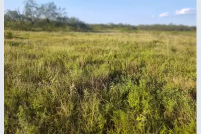 49 Boren Private Rd, Wortham, TX 76693 - Photo 1