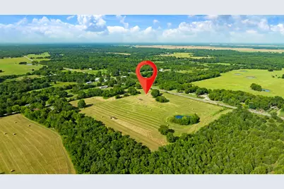 Tbd Fm 100, Honey Grove, TX 75446 - Photo 5