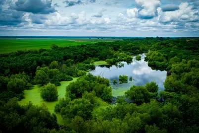775 Ten Mile, Ferris, TX 75125 - Photo 39