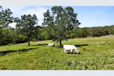 156 Private Road 3626, Springtown, TX 76082 - Photo 23