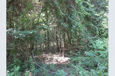 517 Rains County Road 1275, Emory, TX 75440 - Photo 5