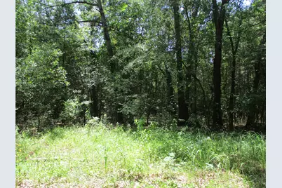 517 Rains County Road 1275, Emory, TX 75440 - Photo 9