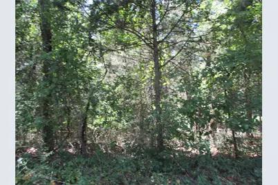 517 Rains County Road 1275, Emory, TX 75440 - Photo 1
