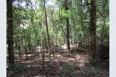 517 Rains County Road 1275, Emory, TX 75440 - Photo 7